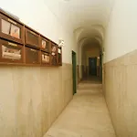 Juan's Trevi Buddyrent